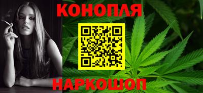 индика Краснознаменск